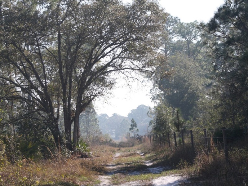 Buckingham Trails Preserve