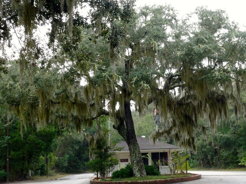Amelia Island State Park