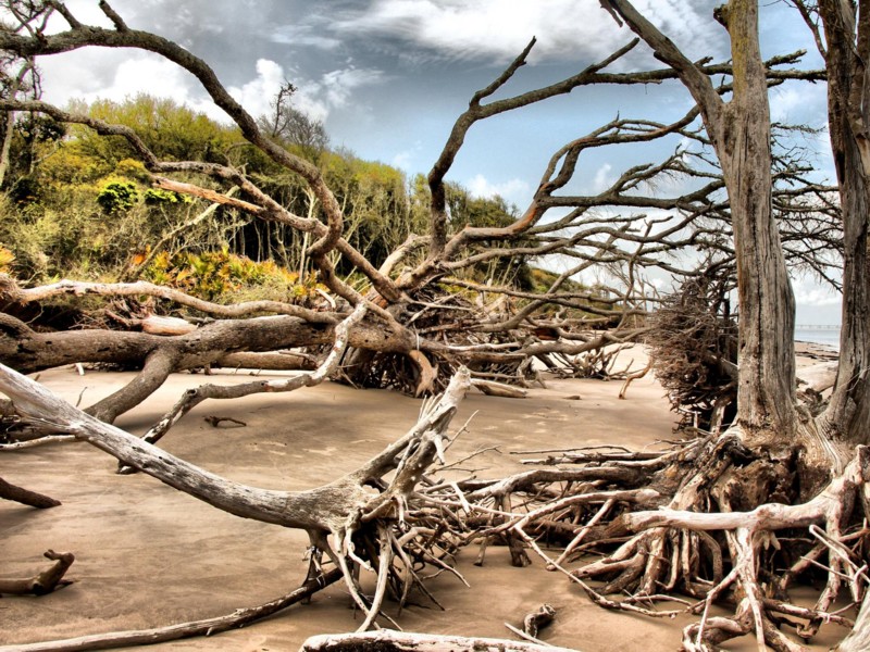 Big Talbot Island State Park