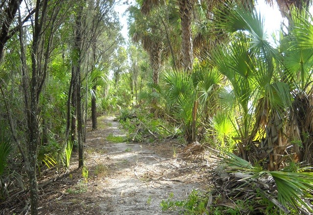 McKay Bay Nature Park